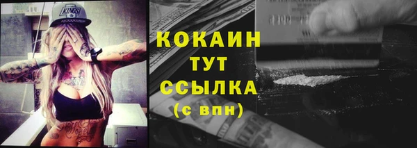прущие грибы Заволжск