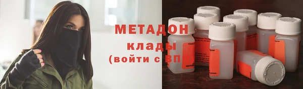 прущие грибы Заволжск