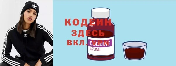 прущие грибы Заволжск
