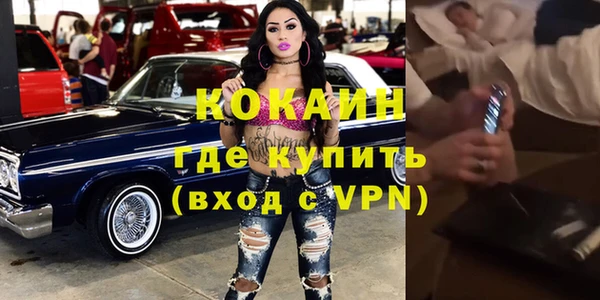 прущие грибы Заволжск
