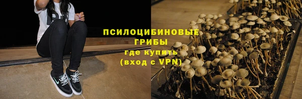 прущие грибы Заволжск