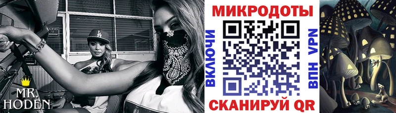 Купить где  Лабинск  Псилоцибиновые грибы Psilocybine cubensis 